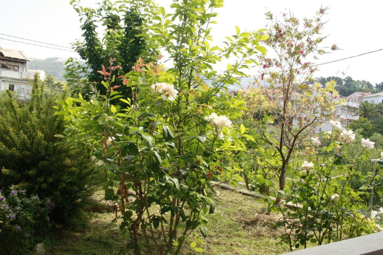 Guesthouse Matusan'S Place Banjol Exterior foto